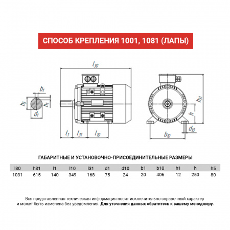 Электродвигатель АИР 250M8